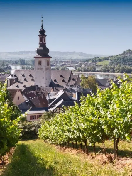 Rheingau Weinberge bei Rüdesheim mit Rheinblick
