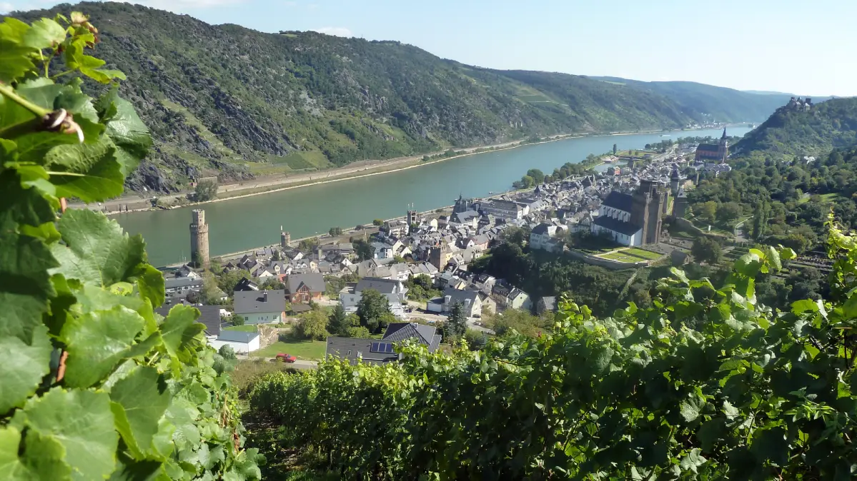 Miniatur: Weinberge am Mittelrhein