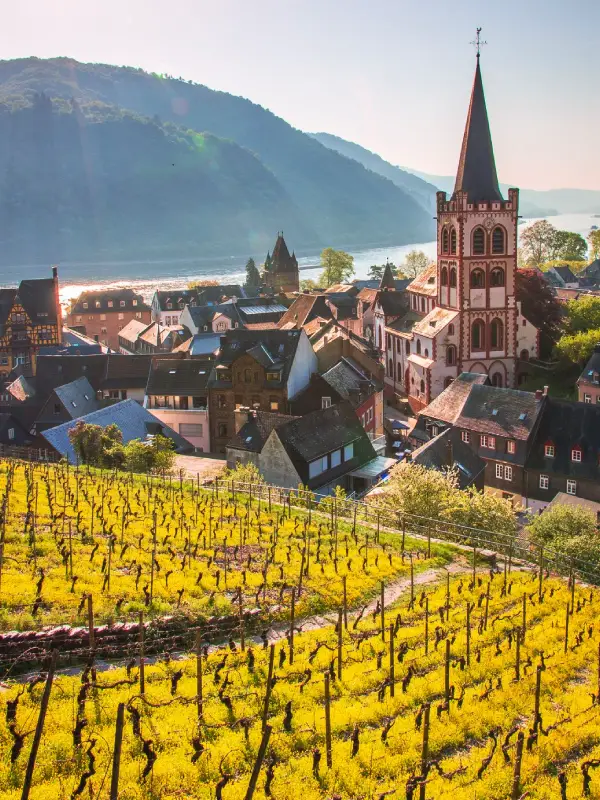 Panoramastraße entlang des Rheintals mit Blick auf Burgen und Weinberge