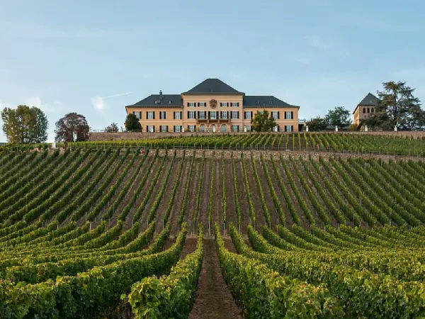 Weinberge und Schloss Johannisberg im Rheingau